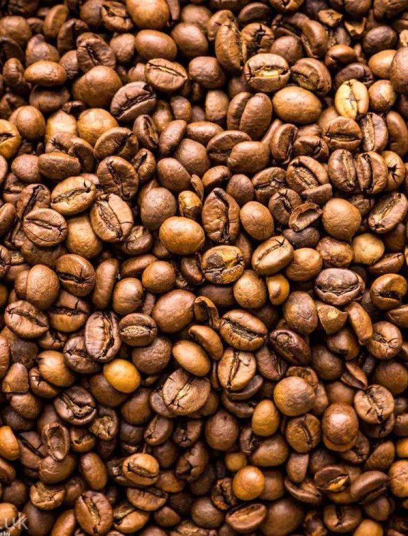 قهوة بارسا بالجينسنج الفاخرة — عبوة 250 جم